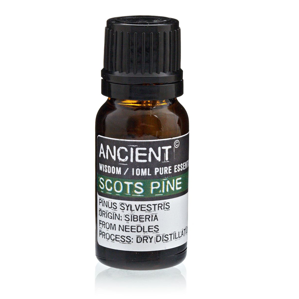 10ml Pine Sylvestris (Scots Pine) Essential Oil